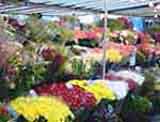 One of several flower stands