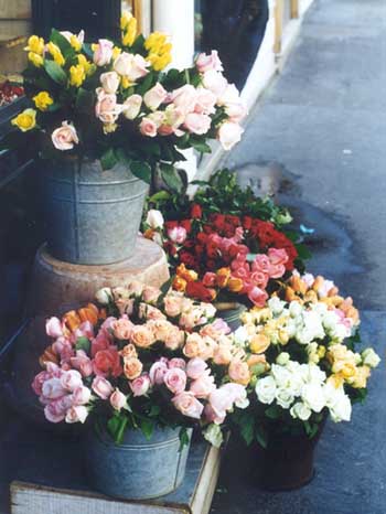 Flower seller.