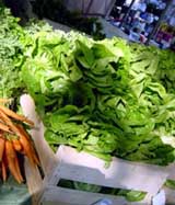  Vegetables just off the  truck