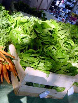 Vegetables just off the truck