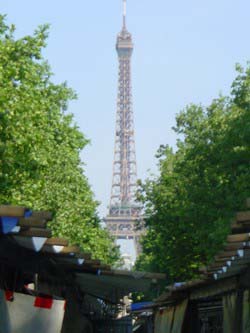 There is no more beautiful market than the Saxe Breteuil.  It is framed by the Eiffel Tower, behind Ecole Militaire