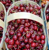 Beautiful red cherries