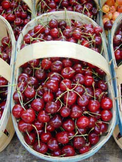 Beautiful red cherries